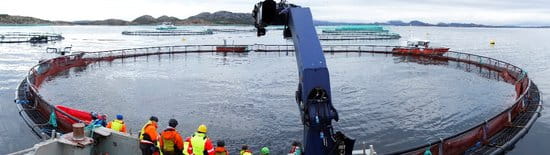 Typical Norwegian salmon farm