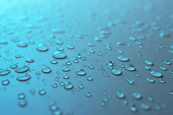 Biodegradable superhydrophobic coating - News and insights for the ...