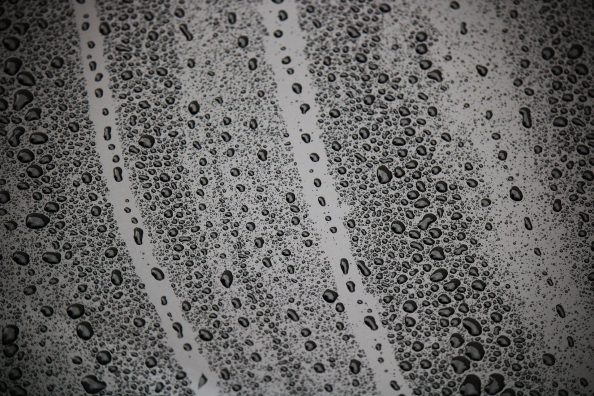 Drops on a coated surface.