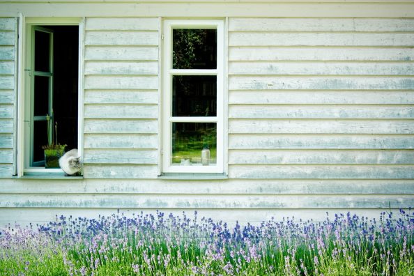 Wooden facade of a house with windows.