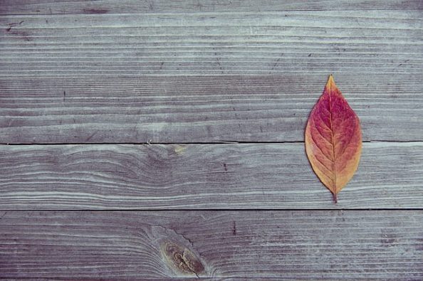 Wooden panels with a leaf as symbolic image.