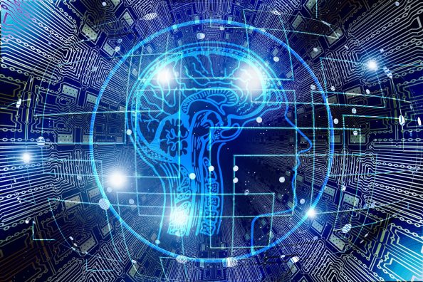 Human skull with brain and skeleton in front of hard disk pattern.