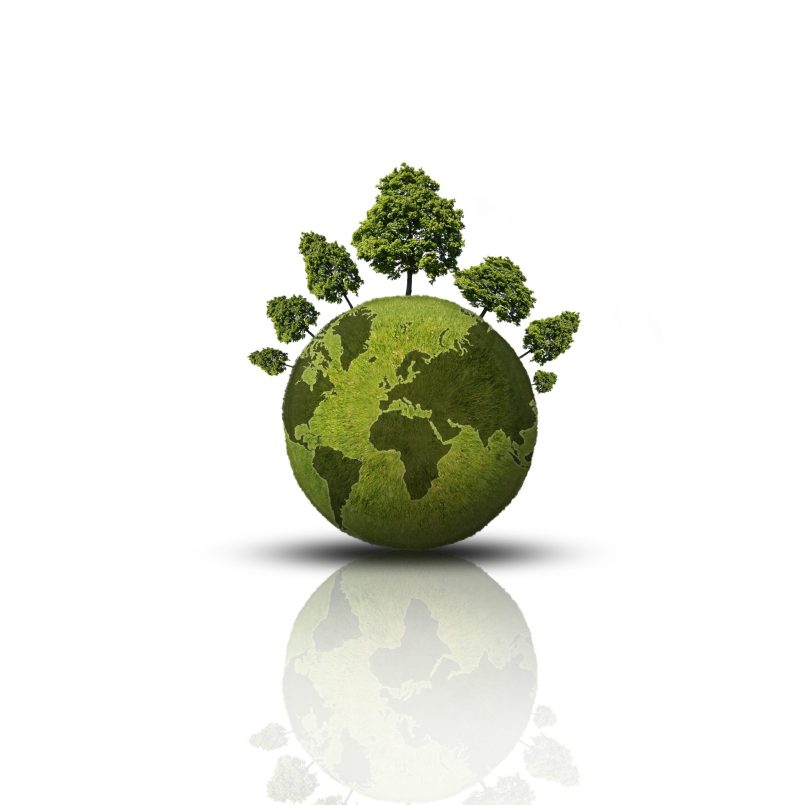 A green globe with trees as symbolic image.