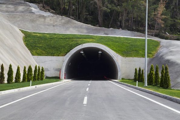 A concrete tunnel entrance lined with trees.