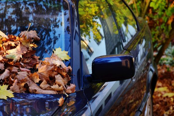 A car covered with leaves.