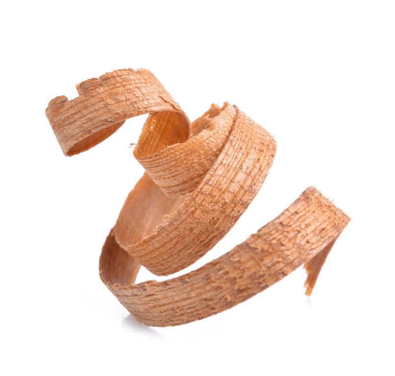 Curled wood chip on white background.