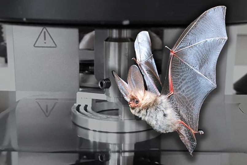 A symbolic bat in front of the newly developed rheometer.