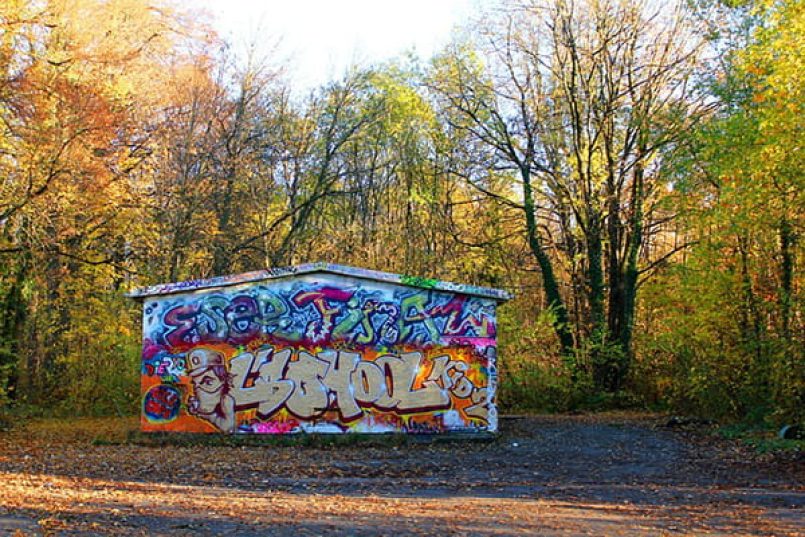 A wall sprayed with graffiti in a park.