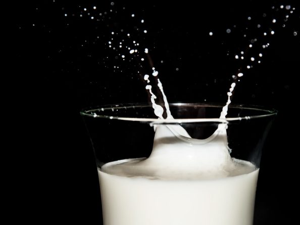 Milk drops squirt out of a glass of milk.