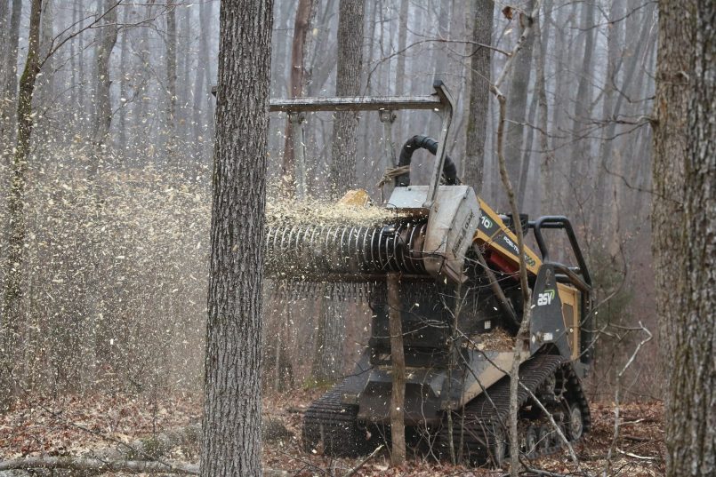 Machine chops wood in the forest.