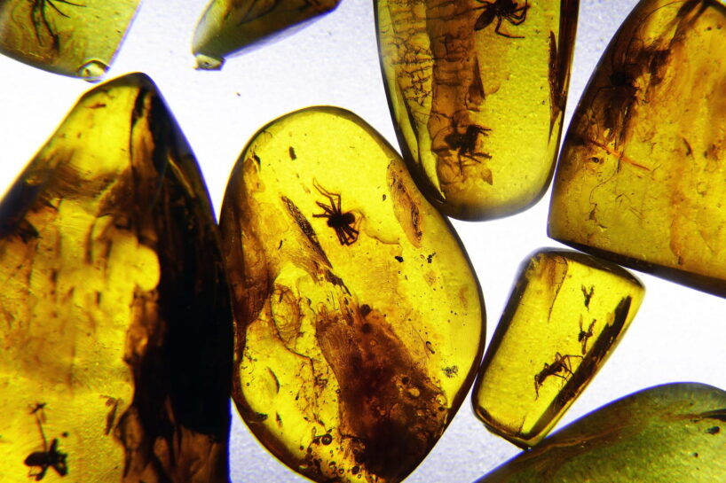 Yellow glowing amber with trapped insects.