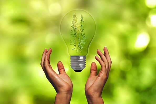 A light bulb with a plant inside floats between two upraised hands.