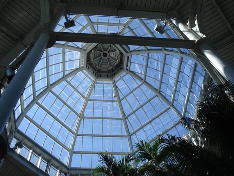 A glass dome with palm trees standing under it as a symbolic image.