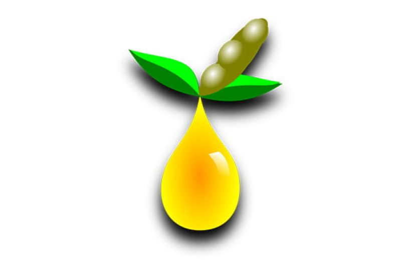 A graphic symbolises soybean oil.