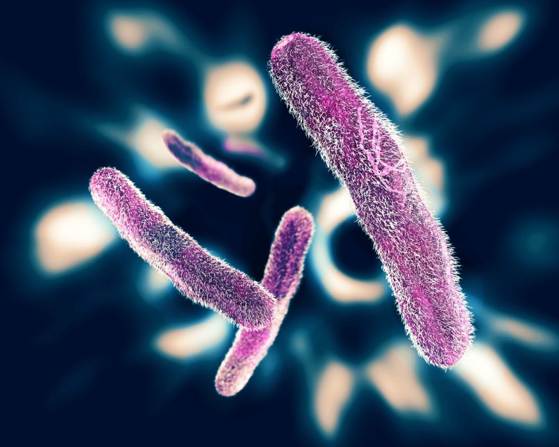 Research shows that a regenerative smart antimicrobial strategy combining bactericidal and releasing functions can be an effective measure against multidrug-resistant (MDR) bacterial infections.